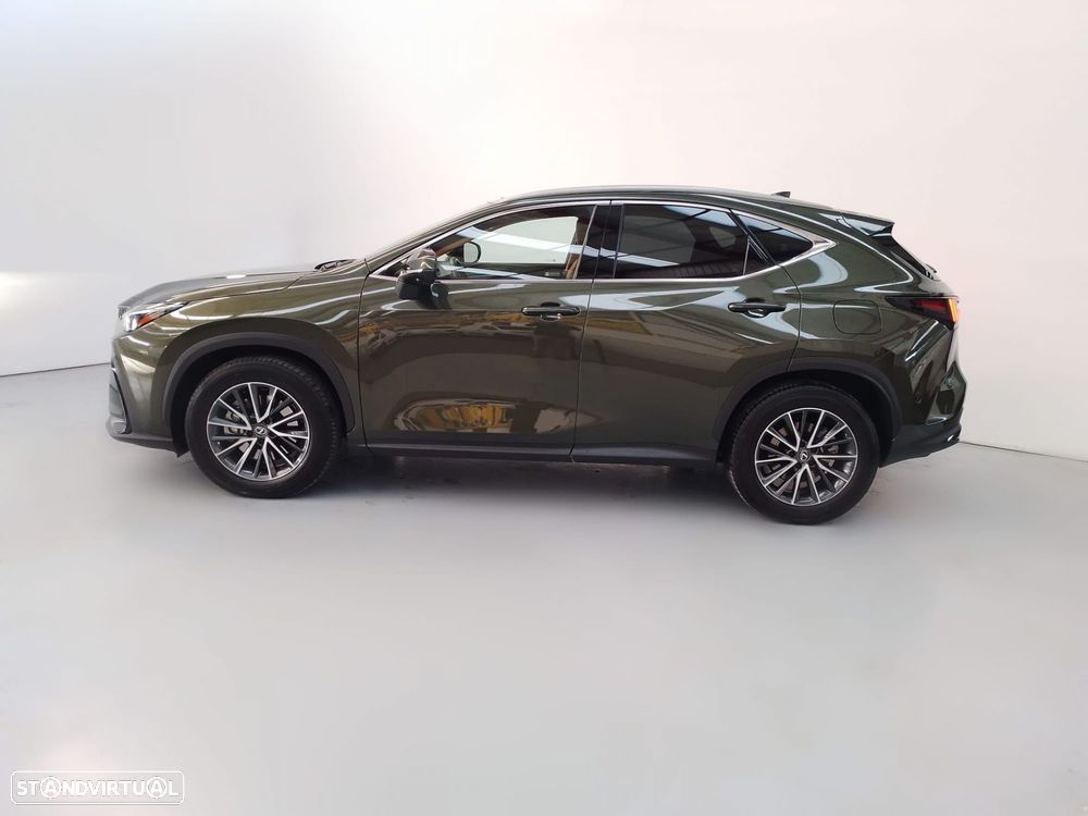 Lexus NX 450h+ - 4