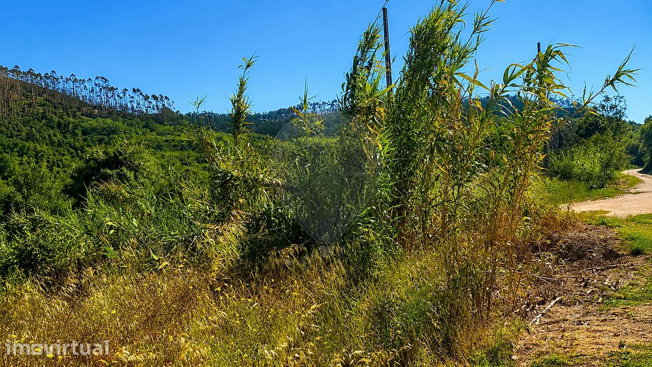 Terreno  para venda - Grande imagem: 4/12