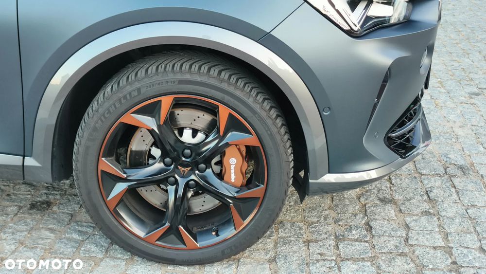 Cupra Formentor 2.0 TSI 4Drive VZ DSG - 6