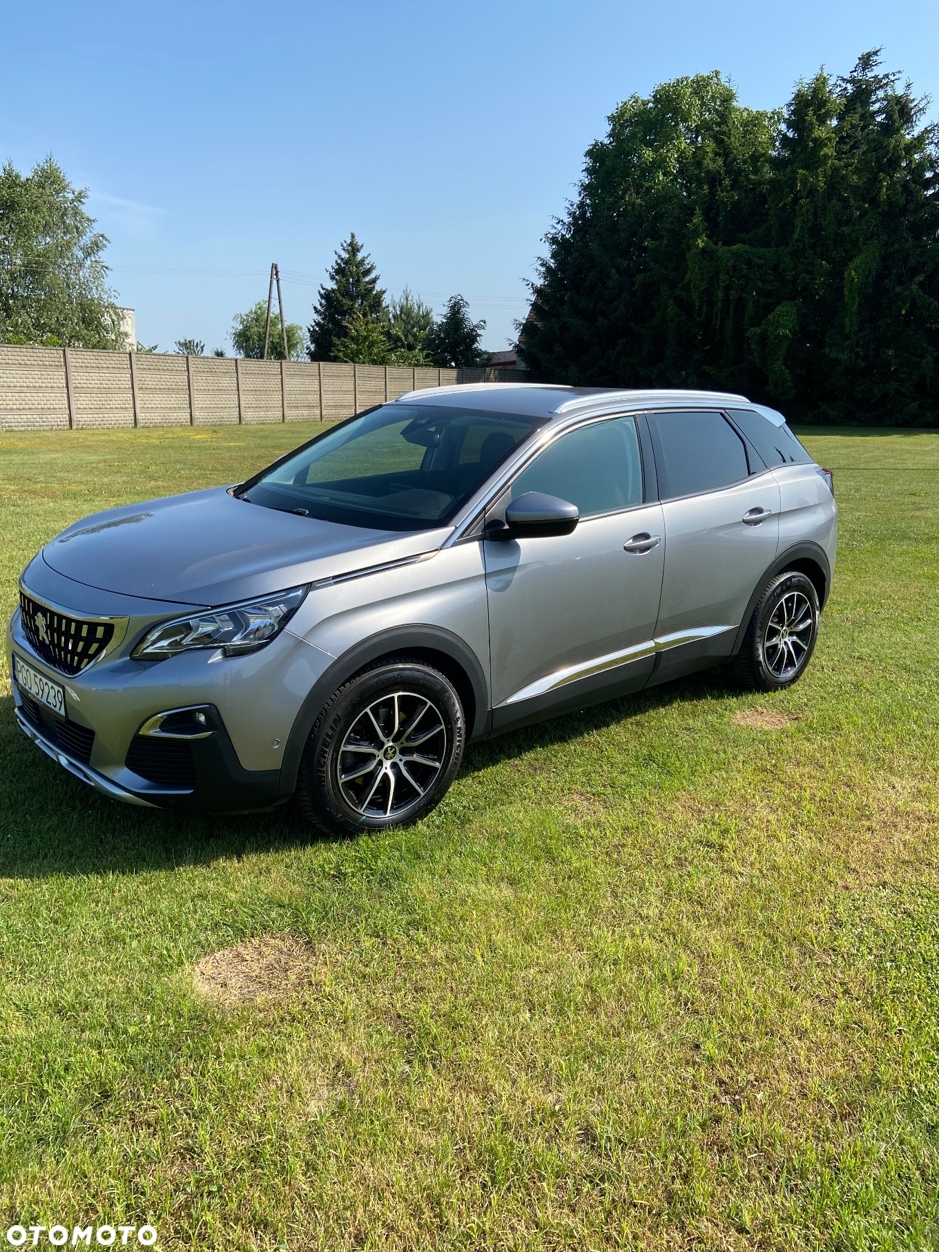 Peugeot 3008 1.2 PureTech GPF Active S&S EAT8 - 20