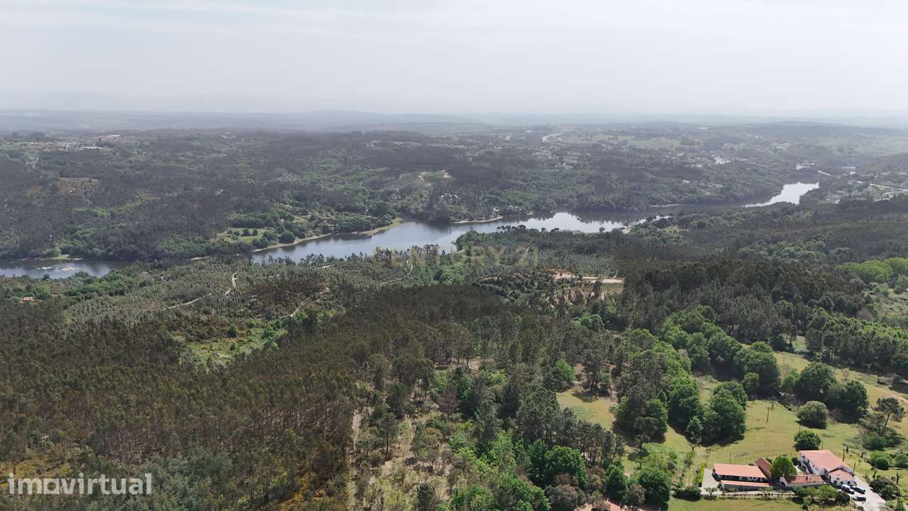Quinta acolhedora em Gestosa - Santa Comba Dão - Grande imagem: 5/8