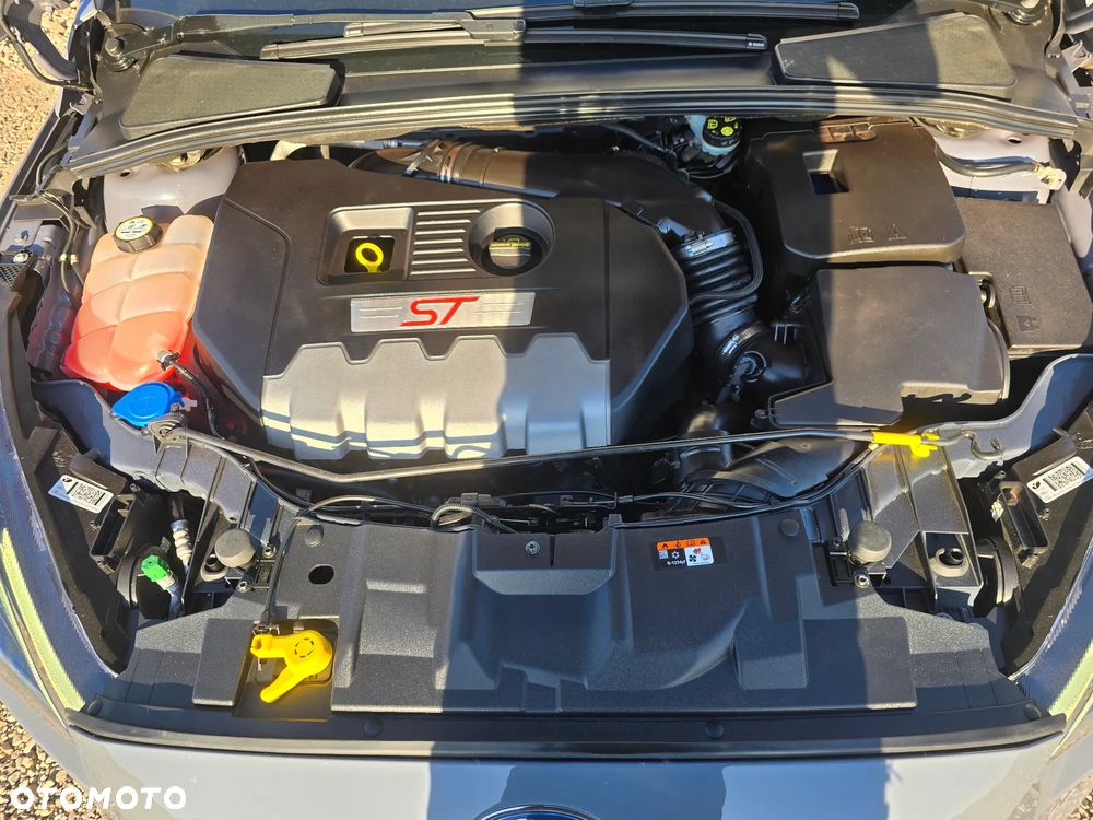 Ford Focus - 31