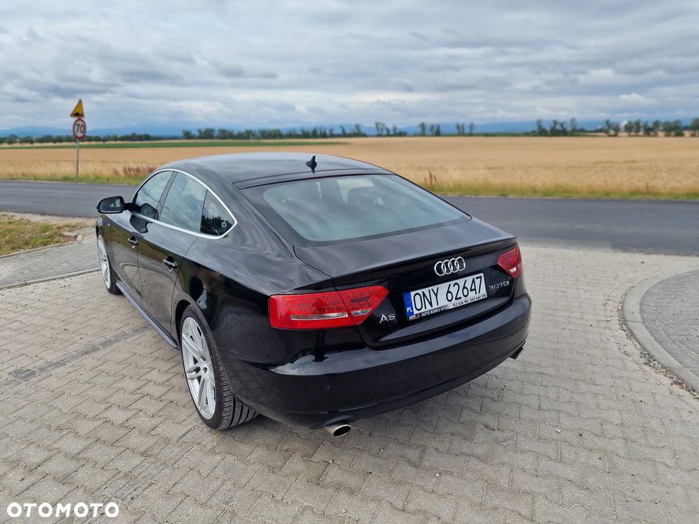 Audi A5 Sportback 3.0 TDI quattro DPF S tronic - 14