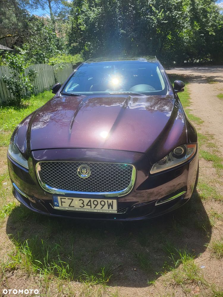 Jaguar XJ 5.0 V8 Premium Luxury - 2