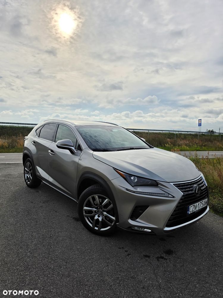 Lexus NX 300h Comfort AWD - 19