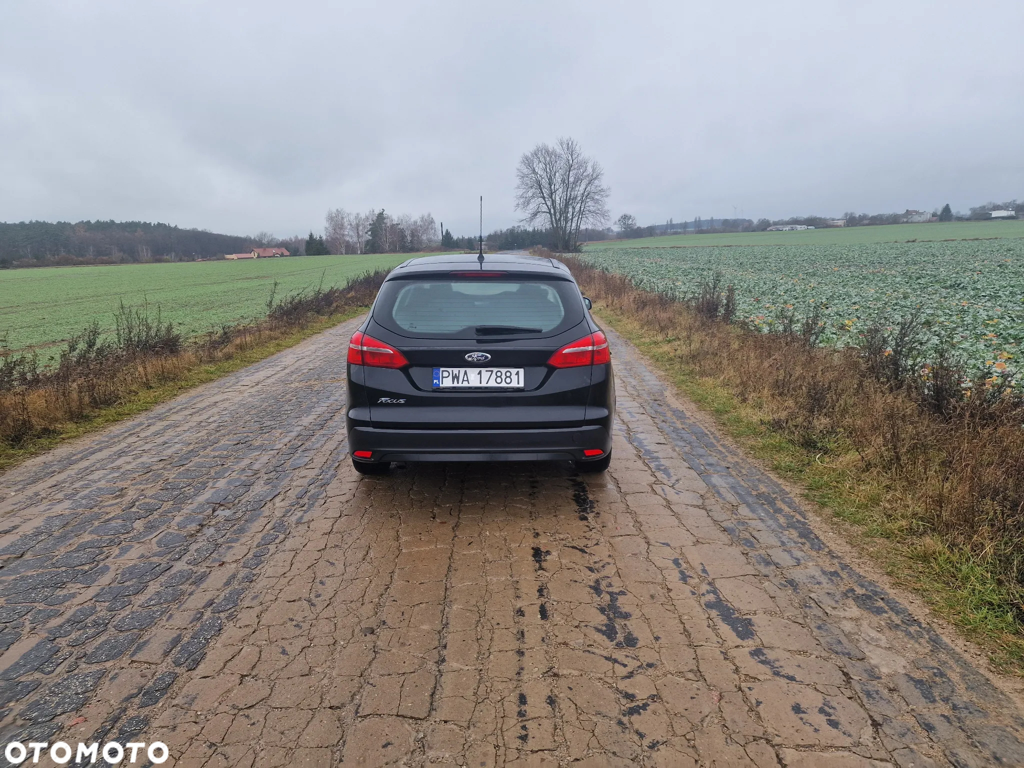 Ford Focus 1.5 TDCi Trend ECOnetic ASS - 7
