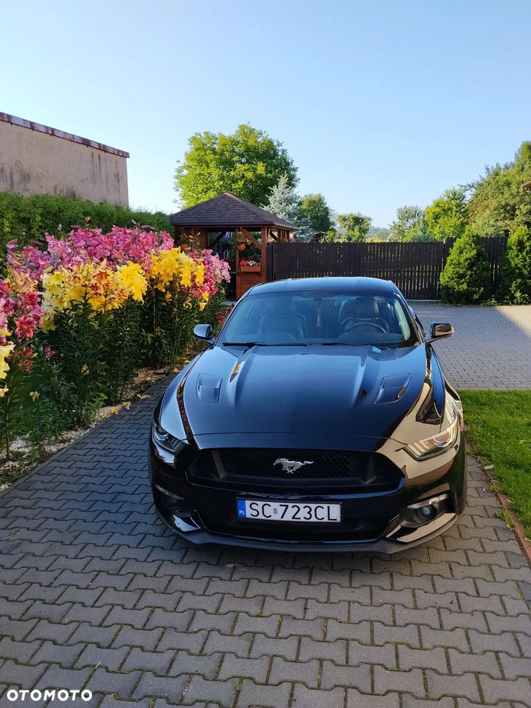 Ford Mustang 5.0 Ti-VCT V8 Black Shadow Edition - 3