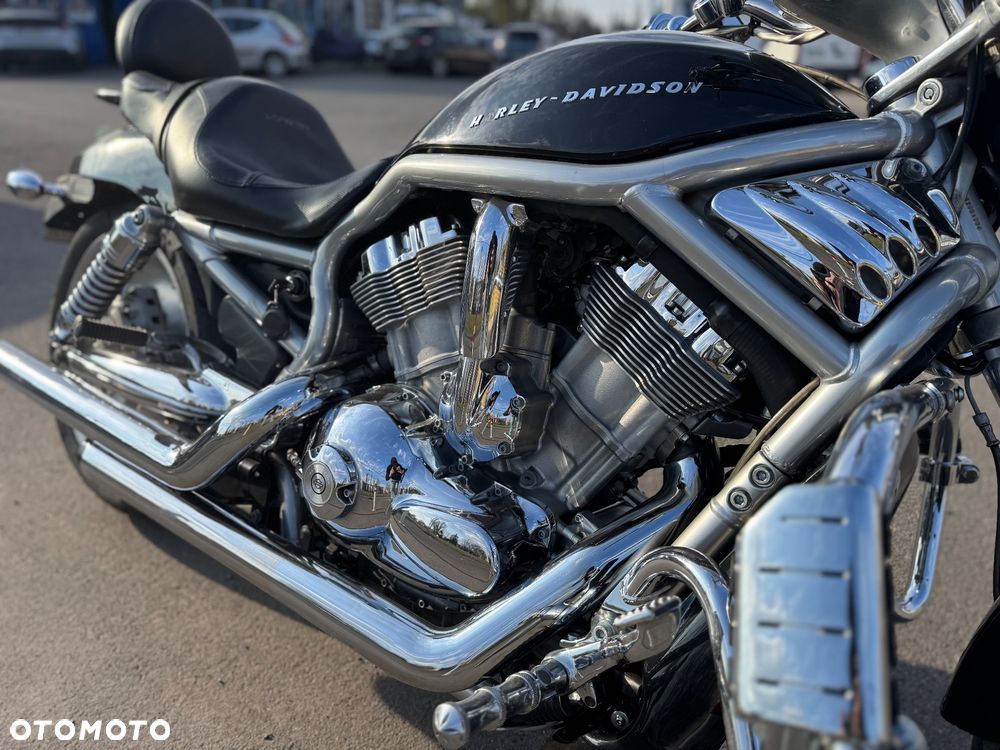 Harley-Davidson Softail V-Rod - 6