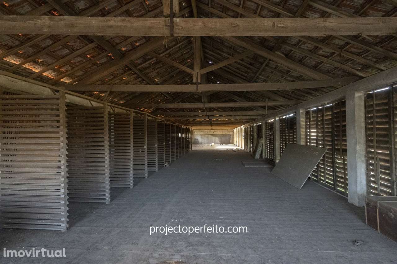 Armazém  Venda em Rio Meão,Santa Maria da Feira - Grande imagem: 5/7