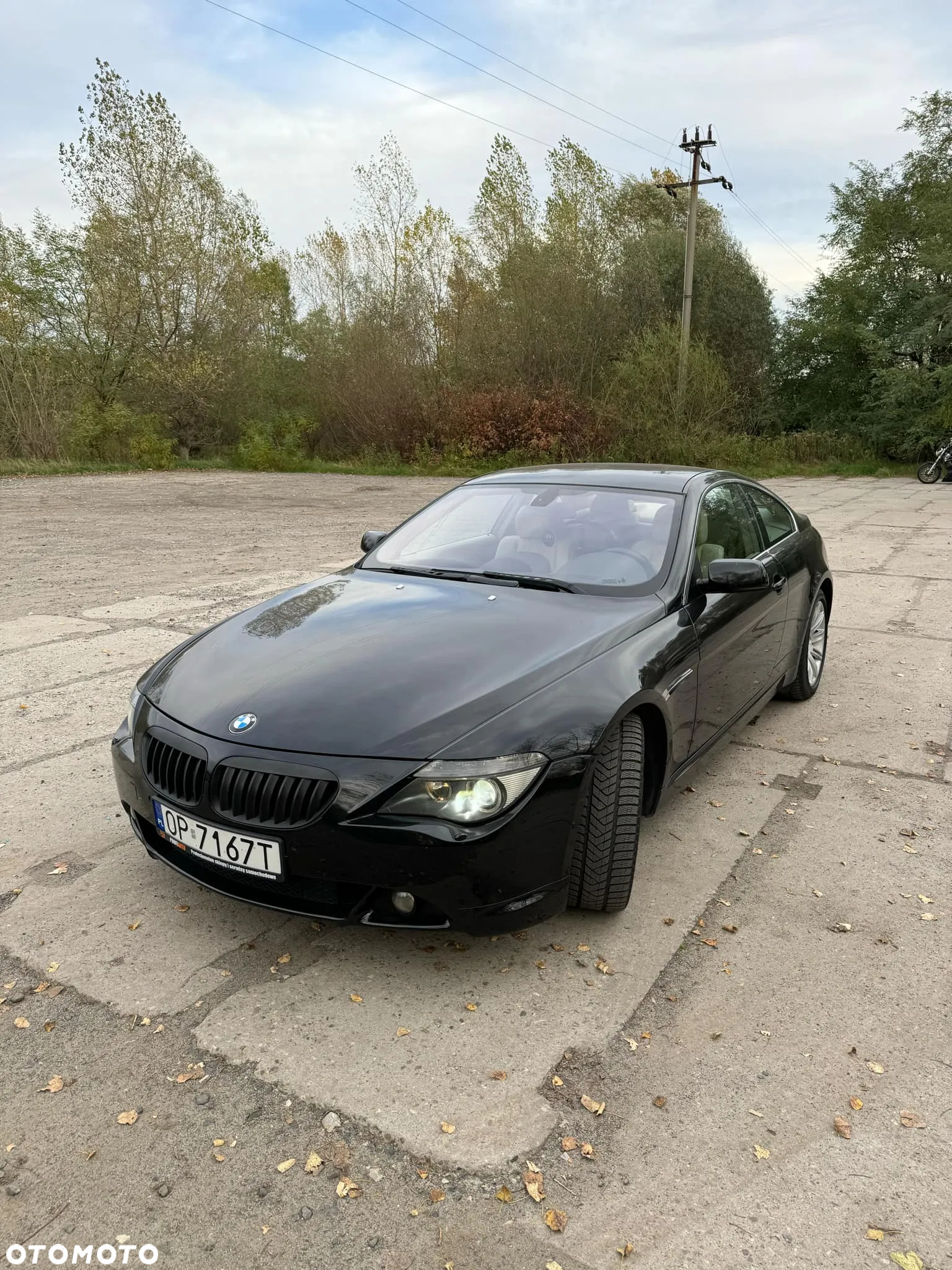 BMW Seria 6 645 Ci - 11