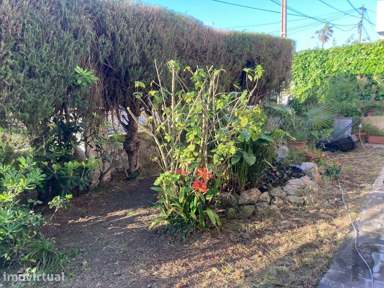 Propriedade Térrea composta por 2 apartamentos T2 e jardim comum - Grande imagem: 3/27