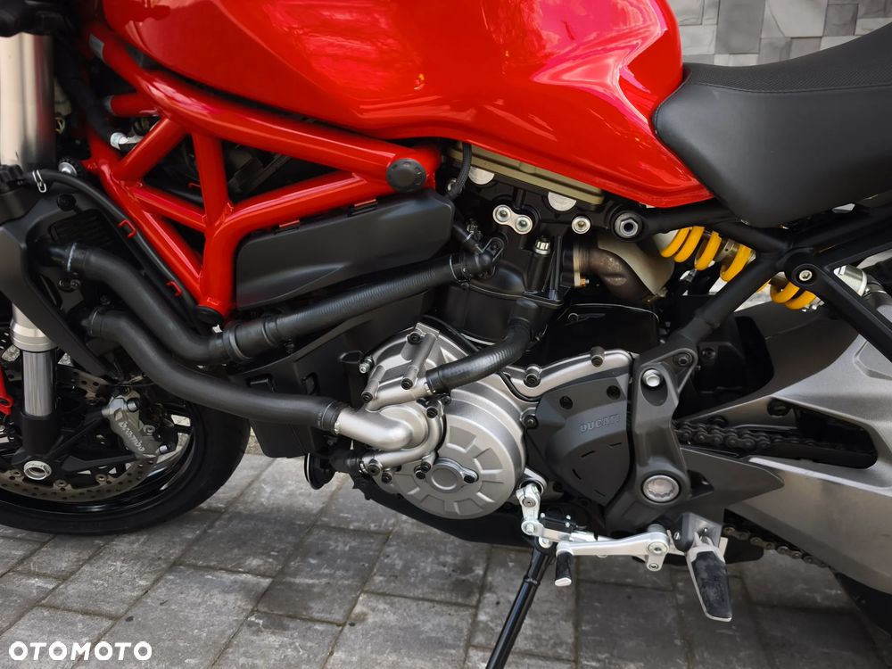 Ducati Monster - 25