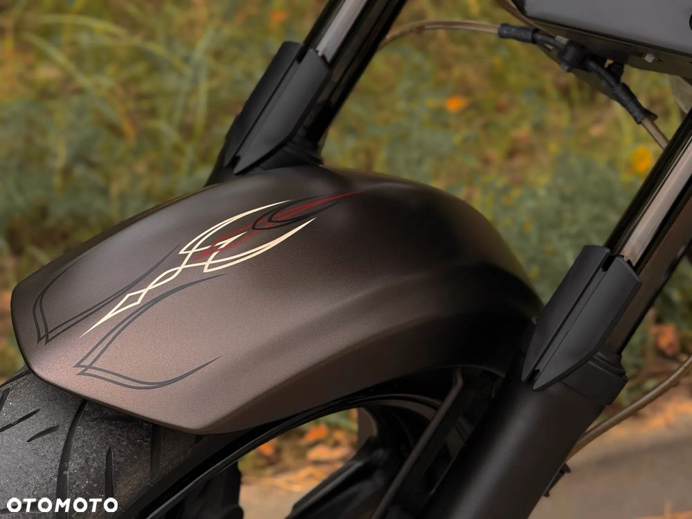 Yamaha Raider - 14