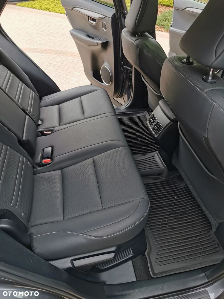 Lexus NX 300 AWD - 19