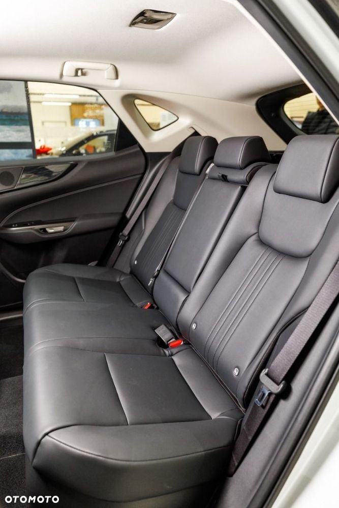 Lexus NX - 21