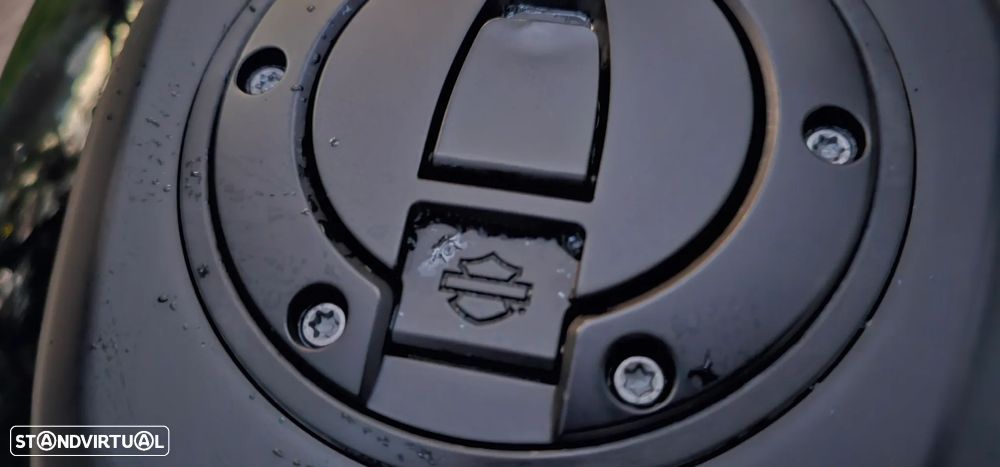 Harley-Davidson Pan America Akrapovic + Malas Harley - 8