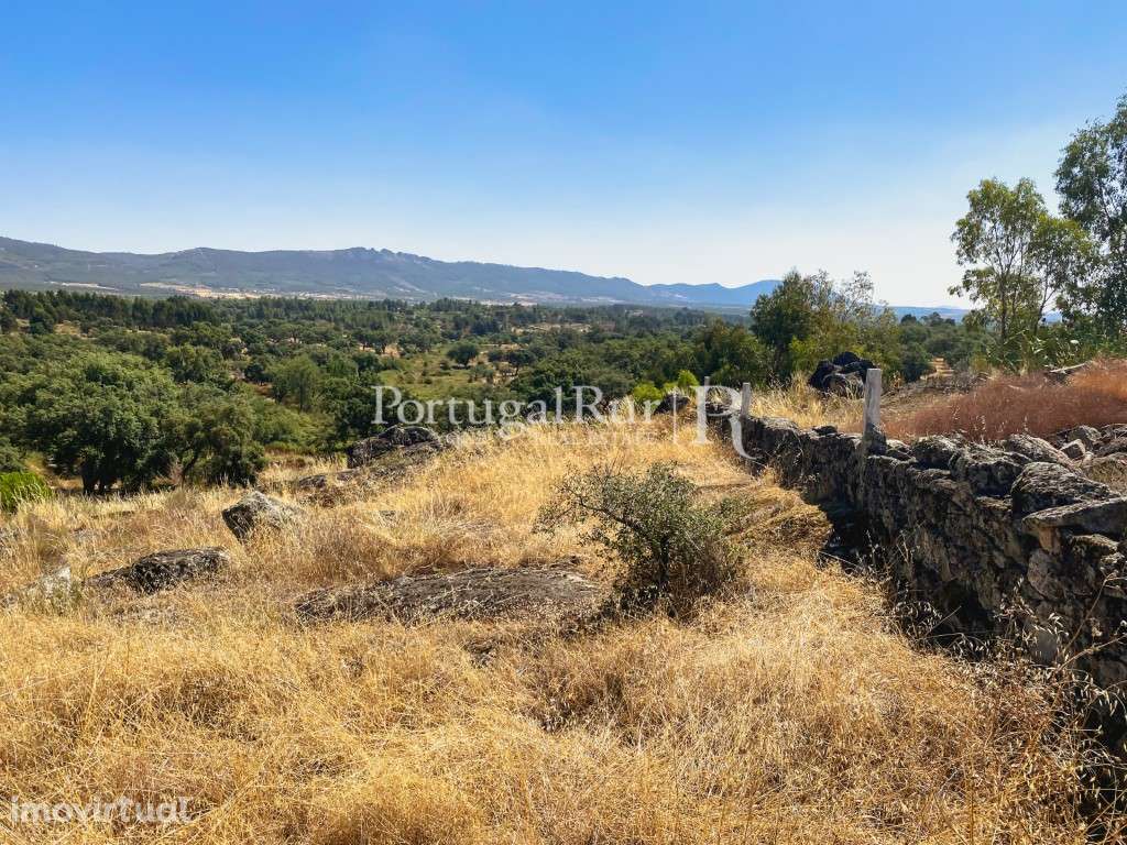 Terreno Rústico com 2.080 m² em Eugénia, Monsanto - Grande imagem: 3/14