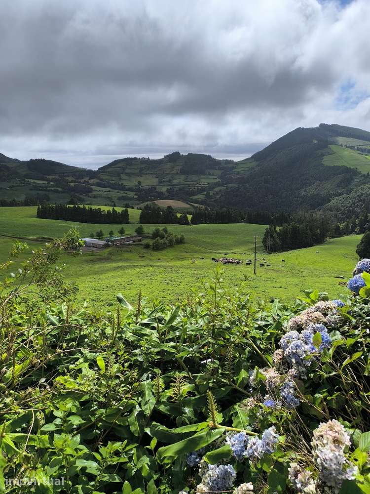 Terreno Rústico à Venda – 54,6032 Hectares Faial da Terra - Grande imagem: 3/11