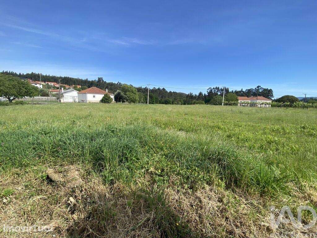 Casa / Villa T1 em Candemil e Gondar de 250,00 m2 - Grande imagem: 3/23