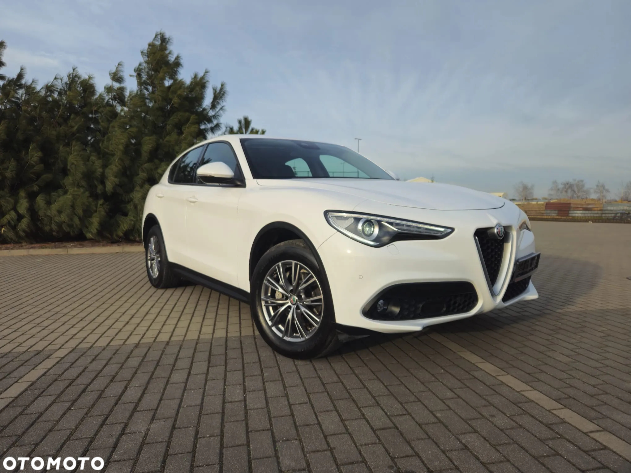 Alfa Romeo Stelvio 2.2 Diesel 16V AT8 Q4 Sprint - 3