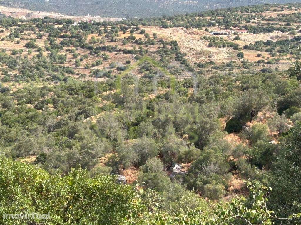 Ruína com Vista Panorâmica e Terreno em Moncarapacho - Grande imagem: 4/6