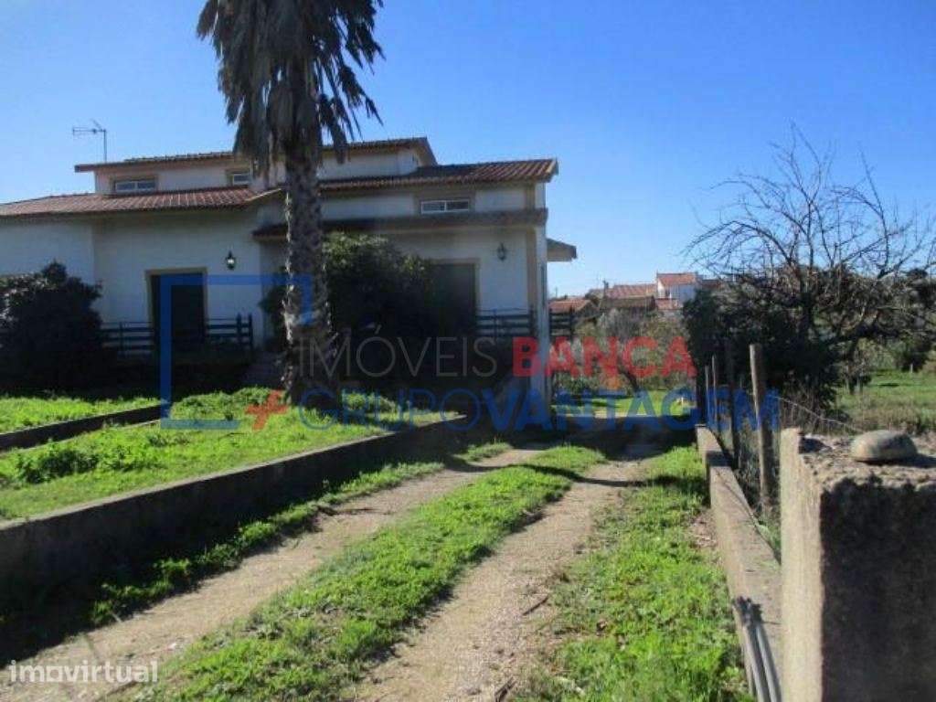 Moradia T3 em Montes da Senhora, Proença-a-Nova - Grande imagem: 3/20