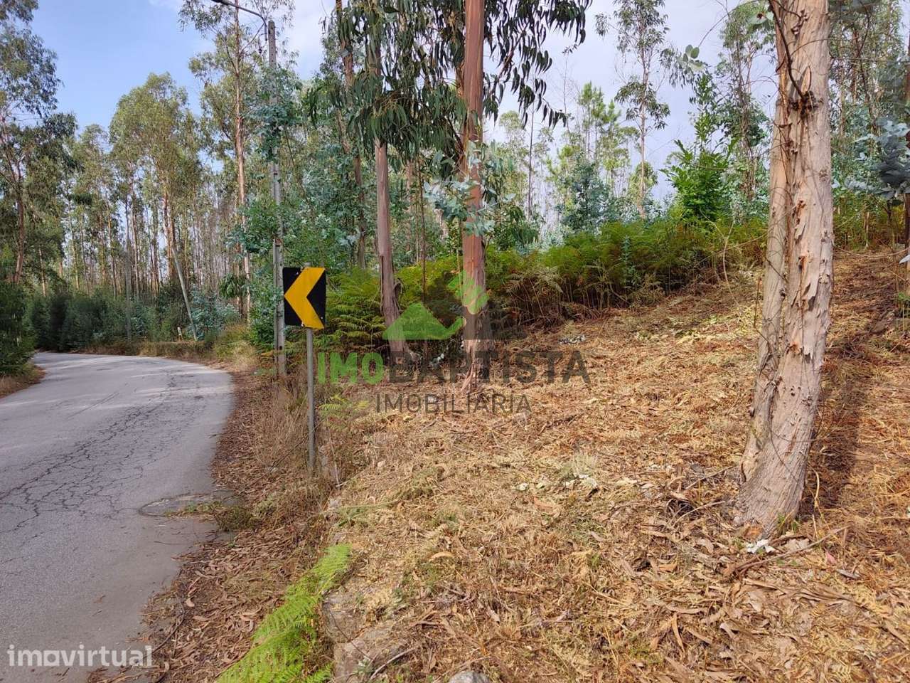TERRENOS PARA CONSTRUÇÃO EM SANDIM (2550 M2) - Grande imagem: 2/7