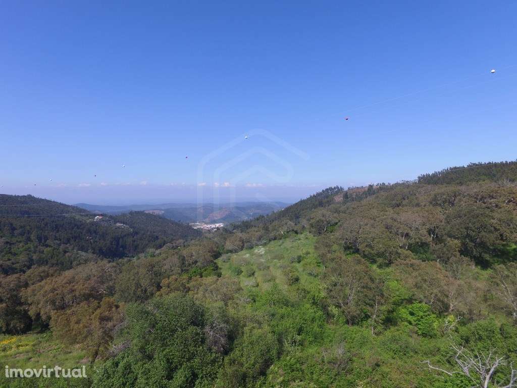 Terreno rústico com 6.120 m2 em Alferce, Monchique, Algarve - Grande imagem: 4/14