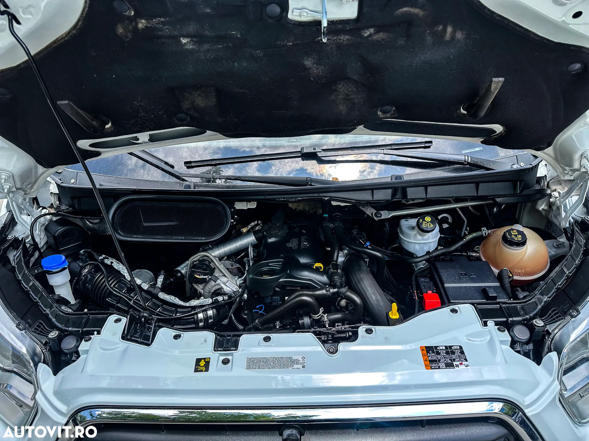Ford Transit - 14