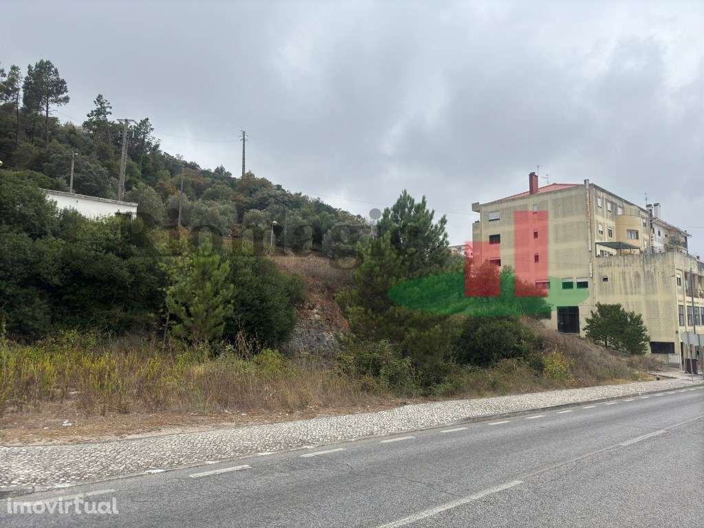 Terreno - Alcanena ***RIOMAGIC*** - Grande imagem: 2/6