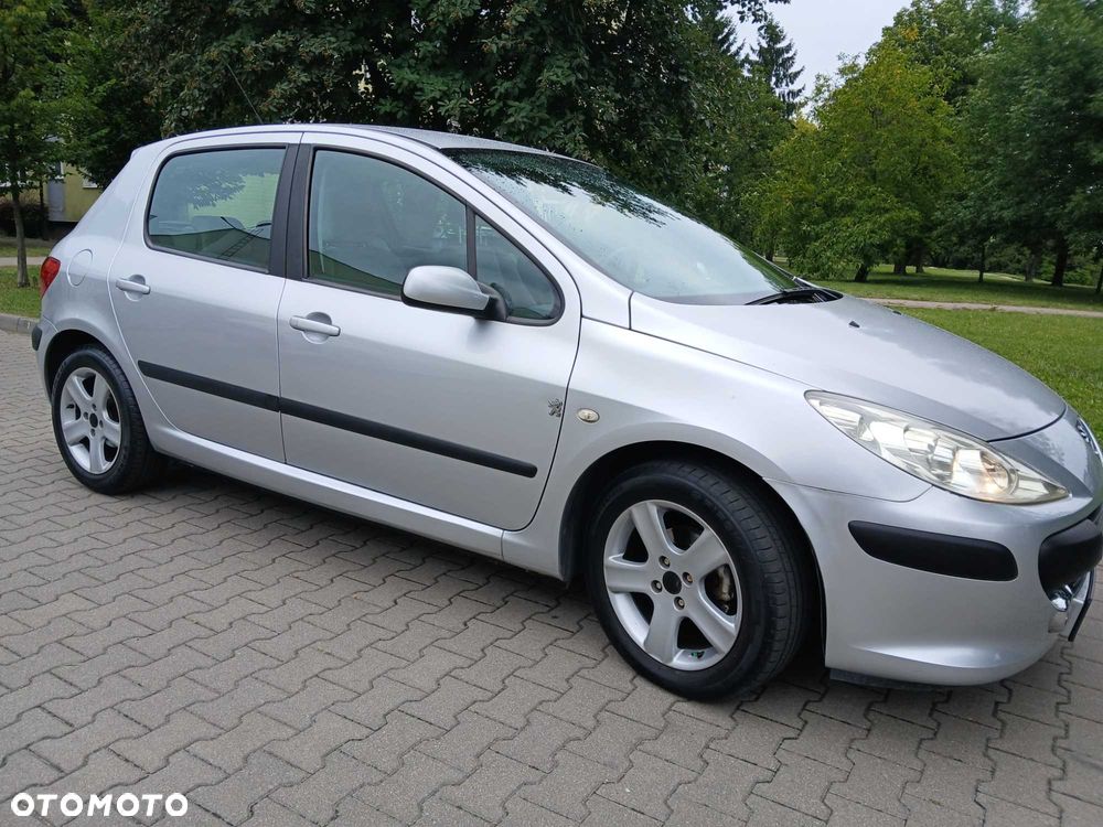 Peugeot 307 - 7