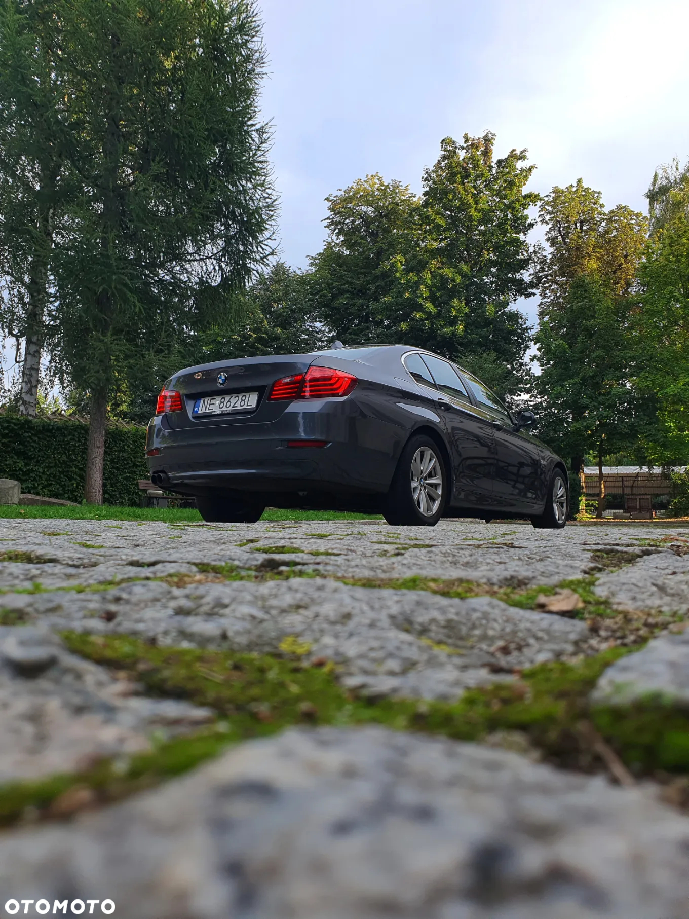 BMW Seria 5 520d Efficient Dynamics Edition Luxury Line - 34