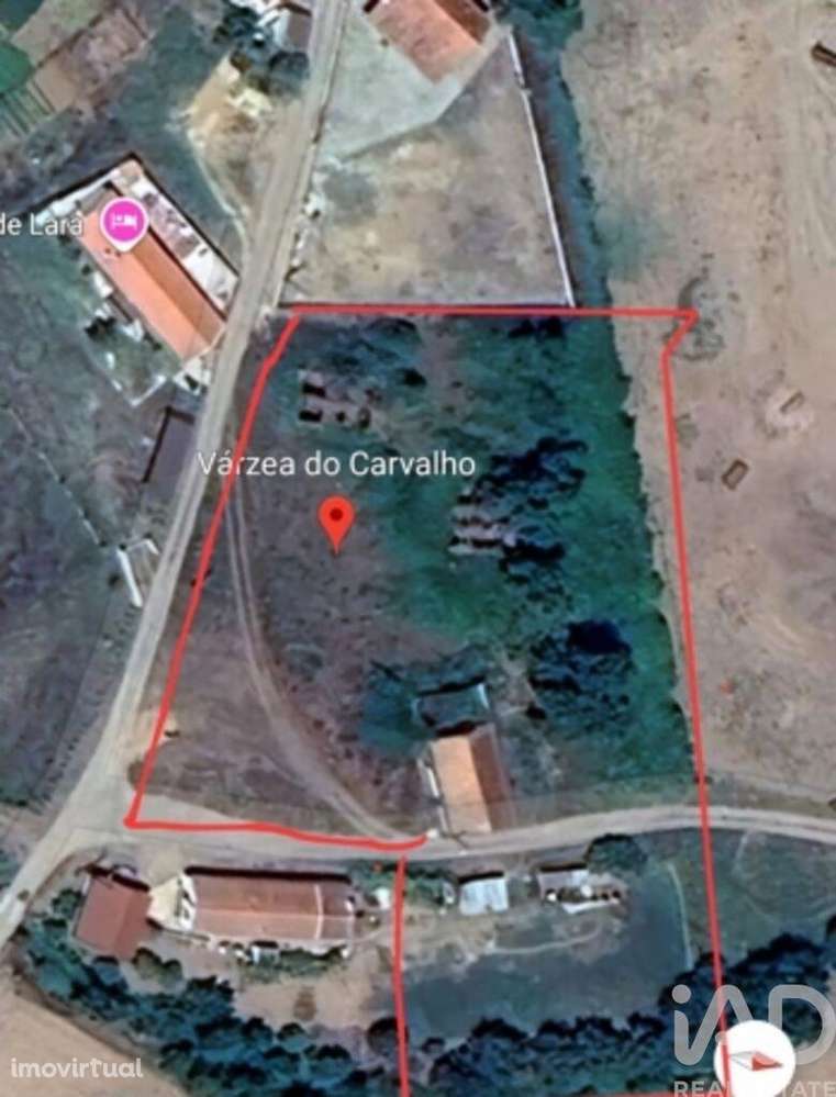 Quinta em São Teotónio de 240 m2 - Grande imagem: 5/10