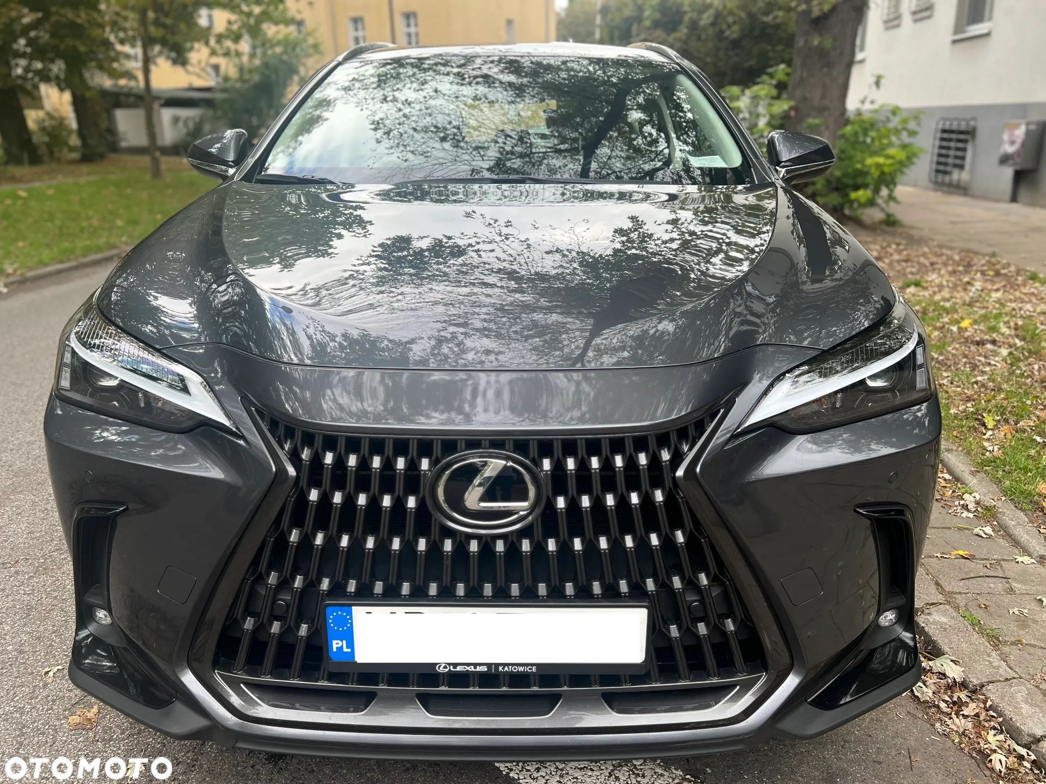 Lexus NX 350h Business AWD - 1
