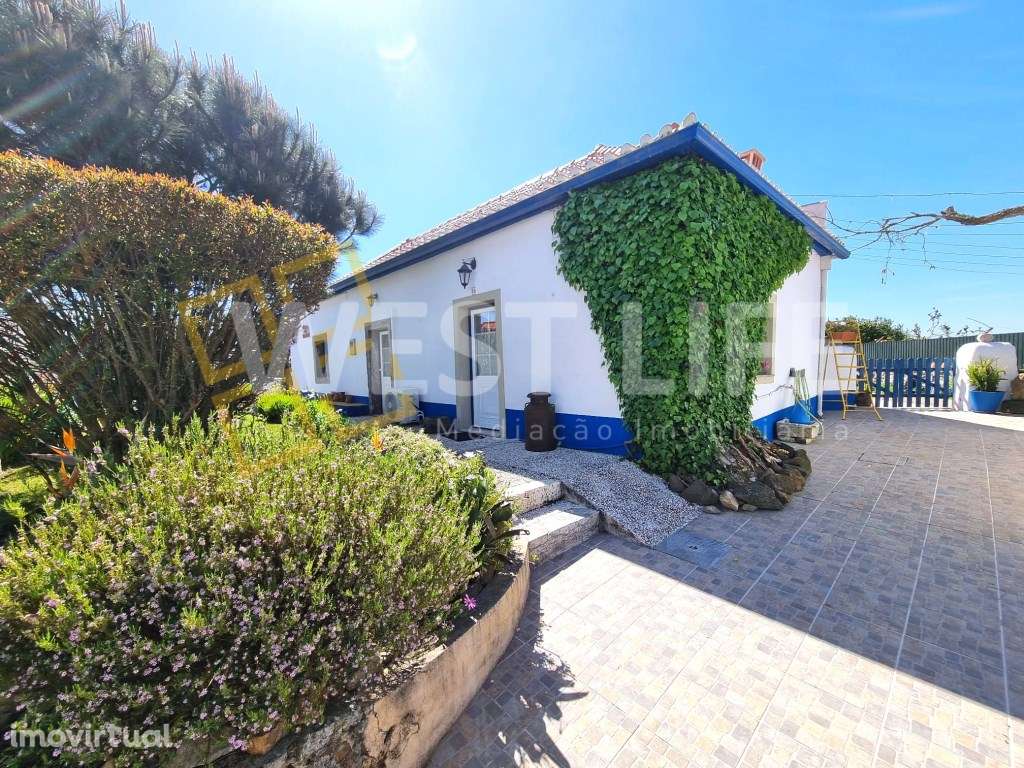 Moradia Térrea T2+1 junto à Tapada de Mafra - Grande imagem: 3/19