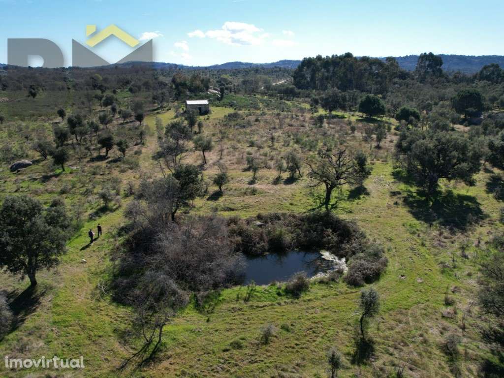 Refúgio Único em Penamacor: 7,6 Hectares de Natureza e Privacidade - Grande imagem: 4/9
