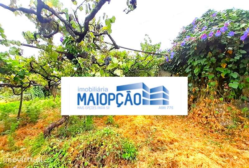 Moradia Isolada T2 - Grande imagem: 4/8