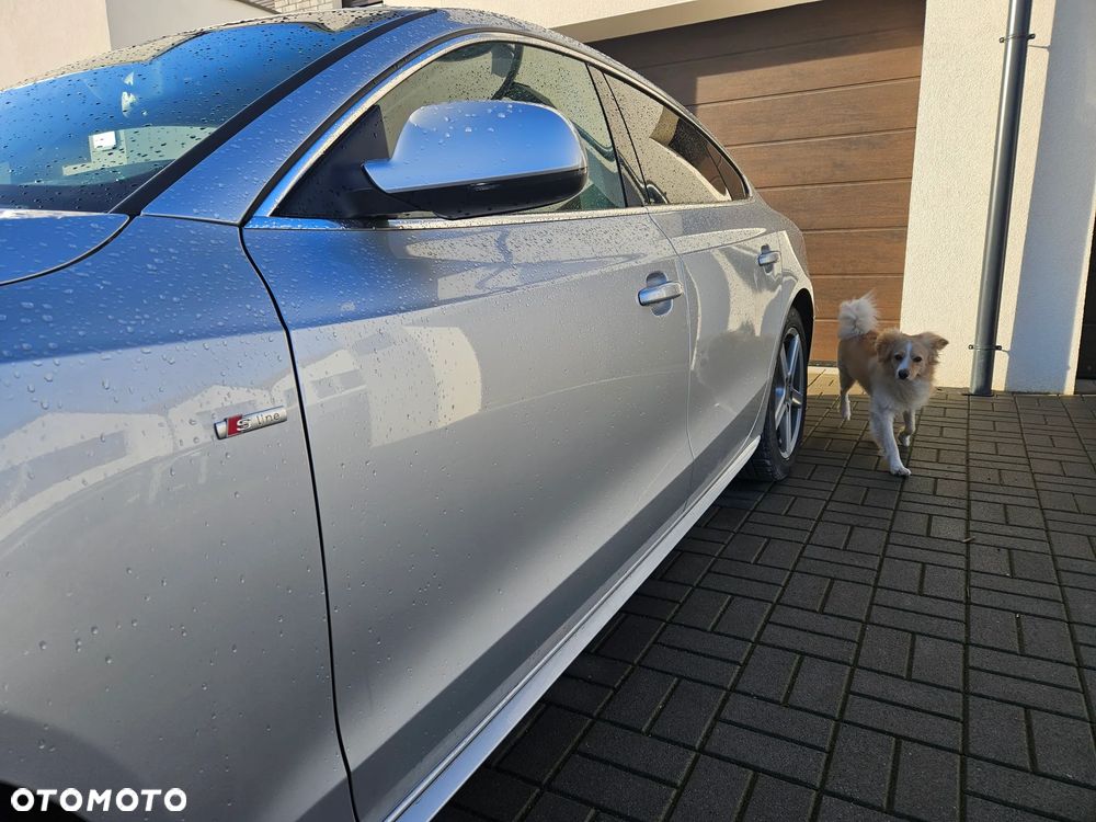 Audi A5 Sportback 2.0 TDI (clean diesel) quat DPF S tro - 14