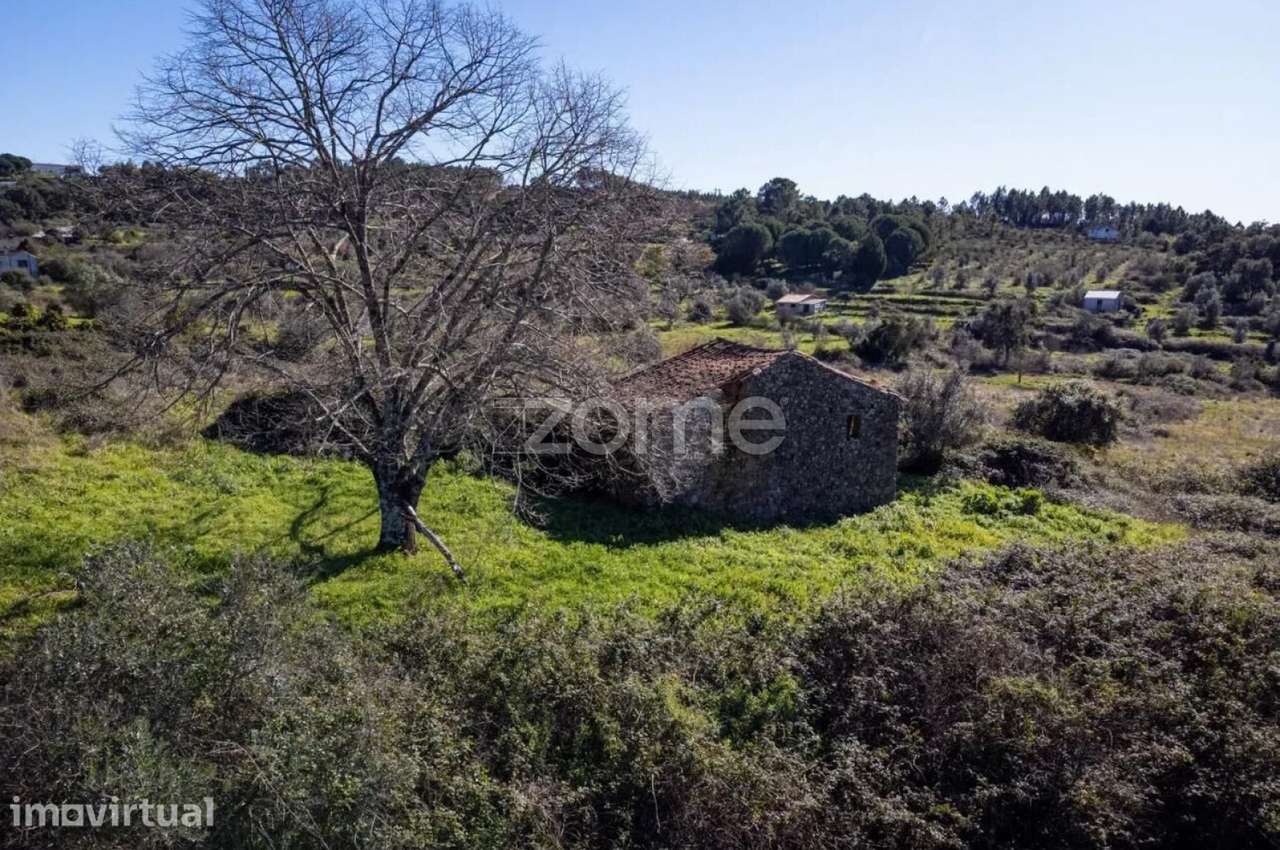 Terreno Urbanizável › Mação › Santarém - Grande imagem: 5/9