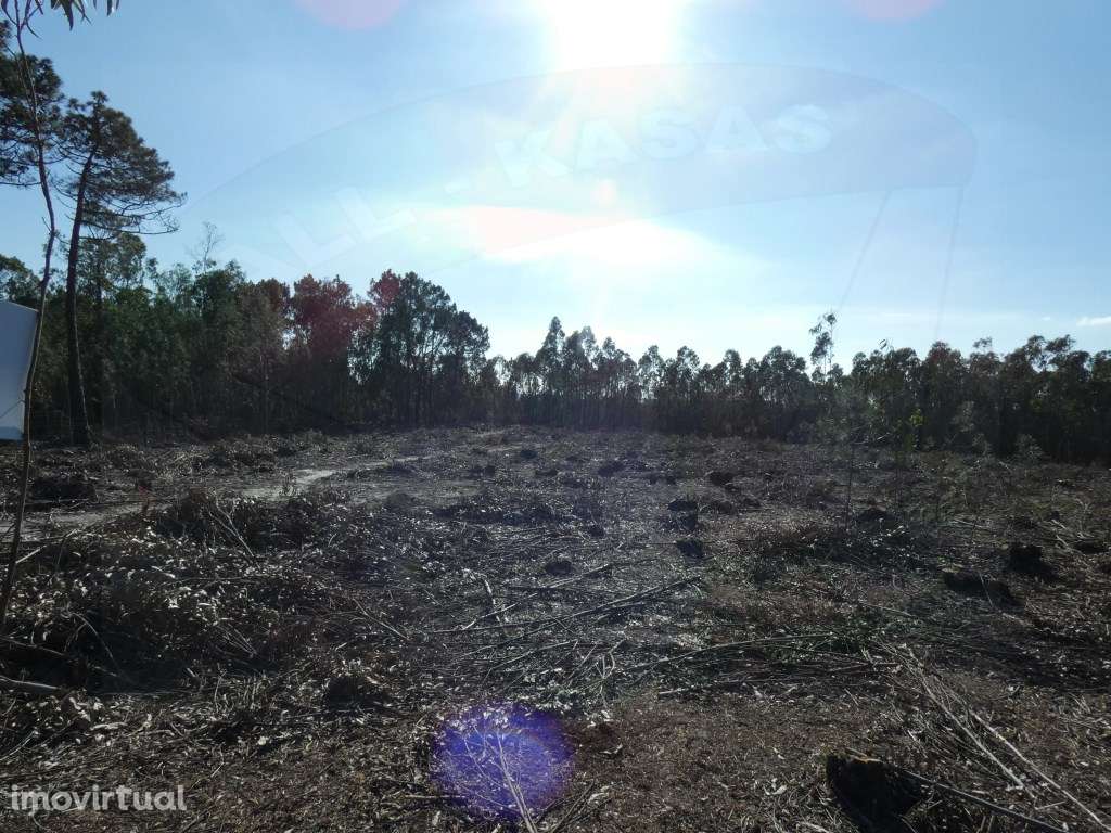 Terreno, Silveira, Cerca, Torres Vedras - Grande imagem: 4/12