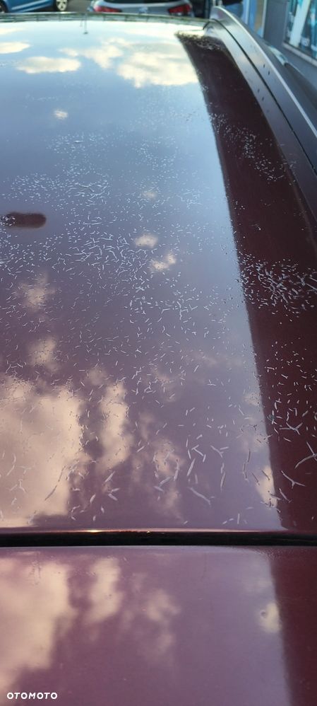 Seat Altea XL 1.6 Comfort Limited - 6