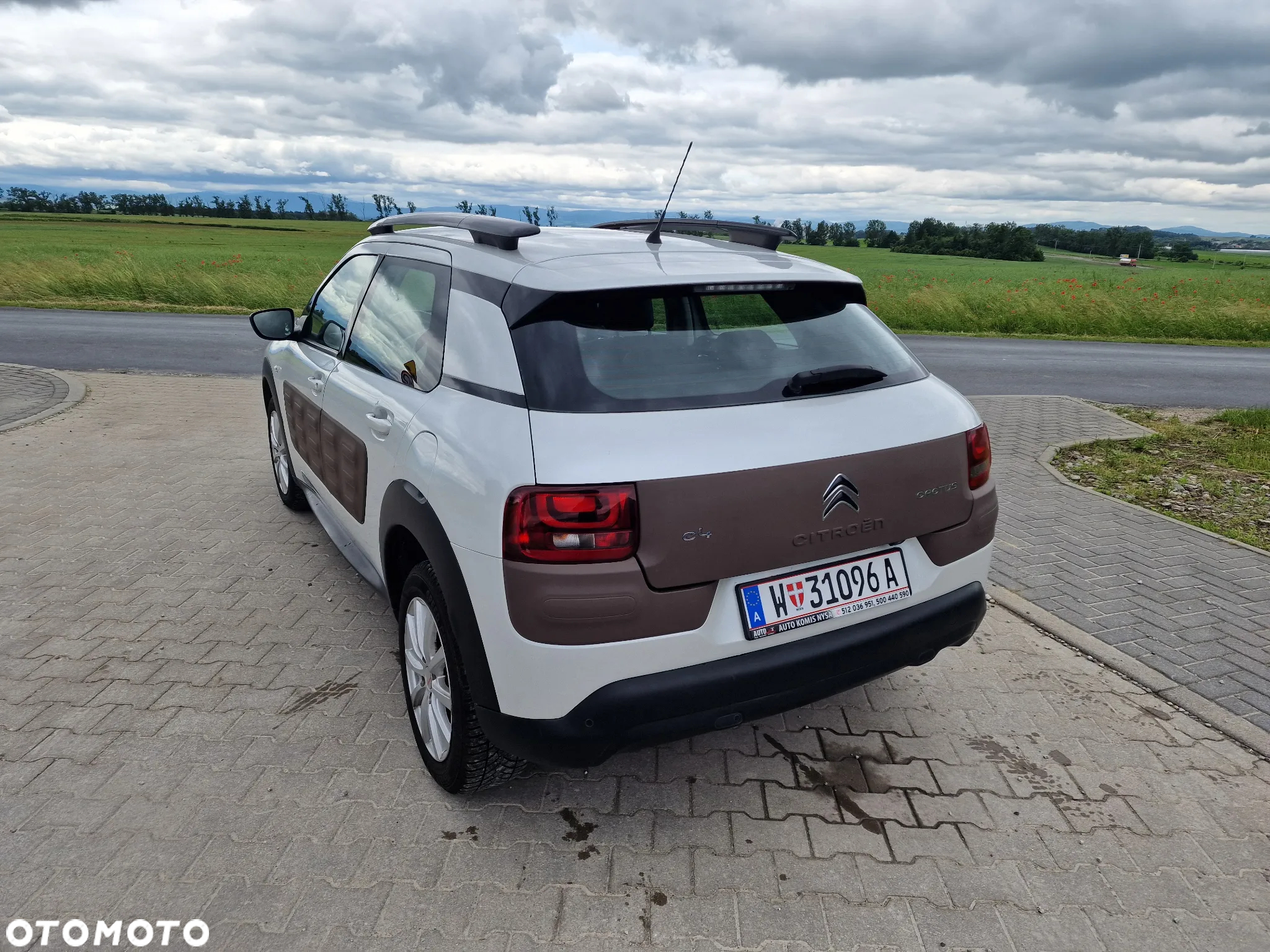 Citroën C4 Cactus 1.2 PureTech Shine Edition - 11