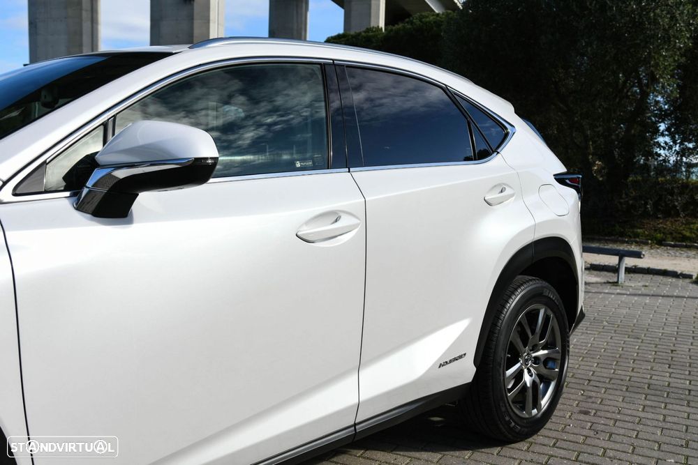 Lexus NX 300h Executive+ - 6