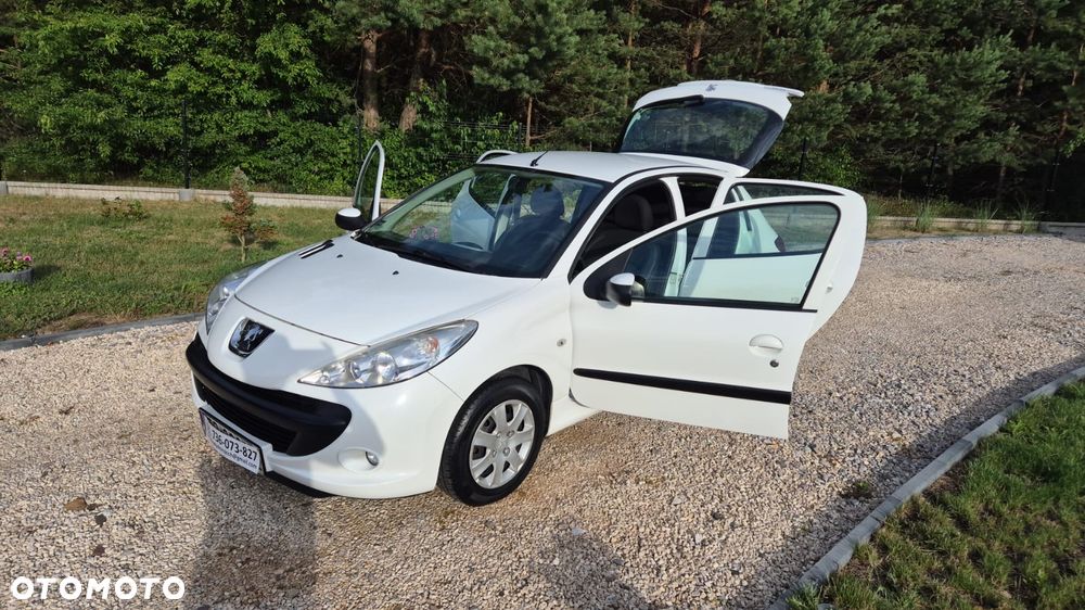 Peugeot 206 plus - 21