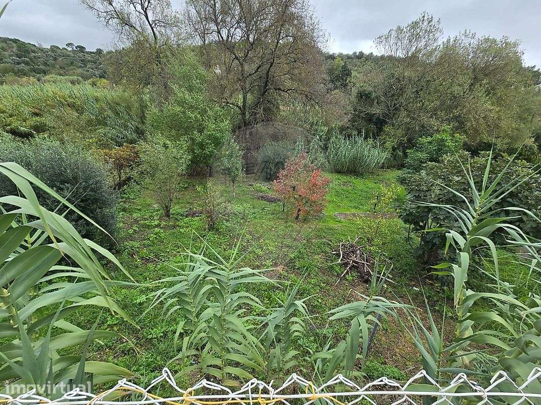 Terreno  para venda - Grande imagem: 2/10