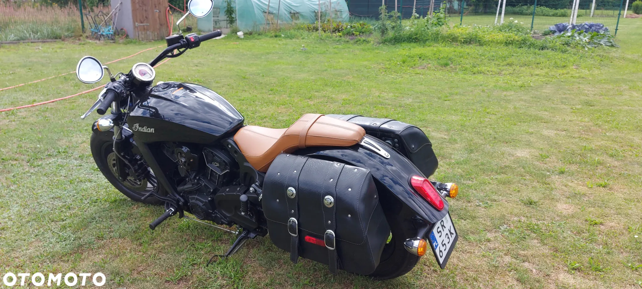 Indian Scout - 6