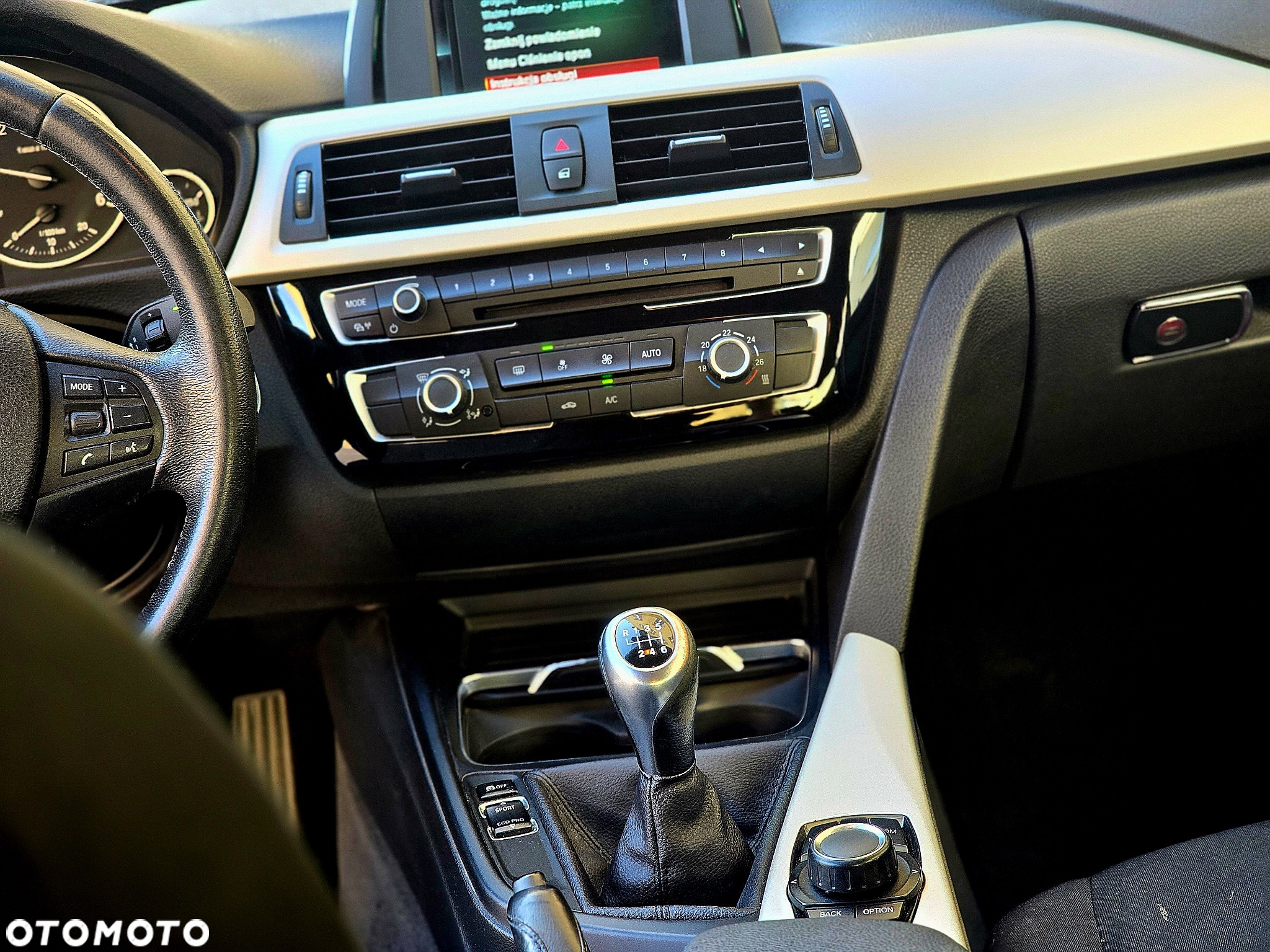 BMW Seria 3 316d - 17