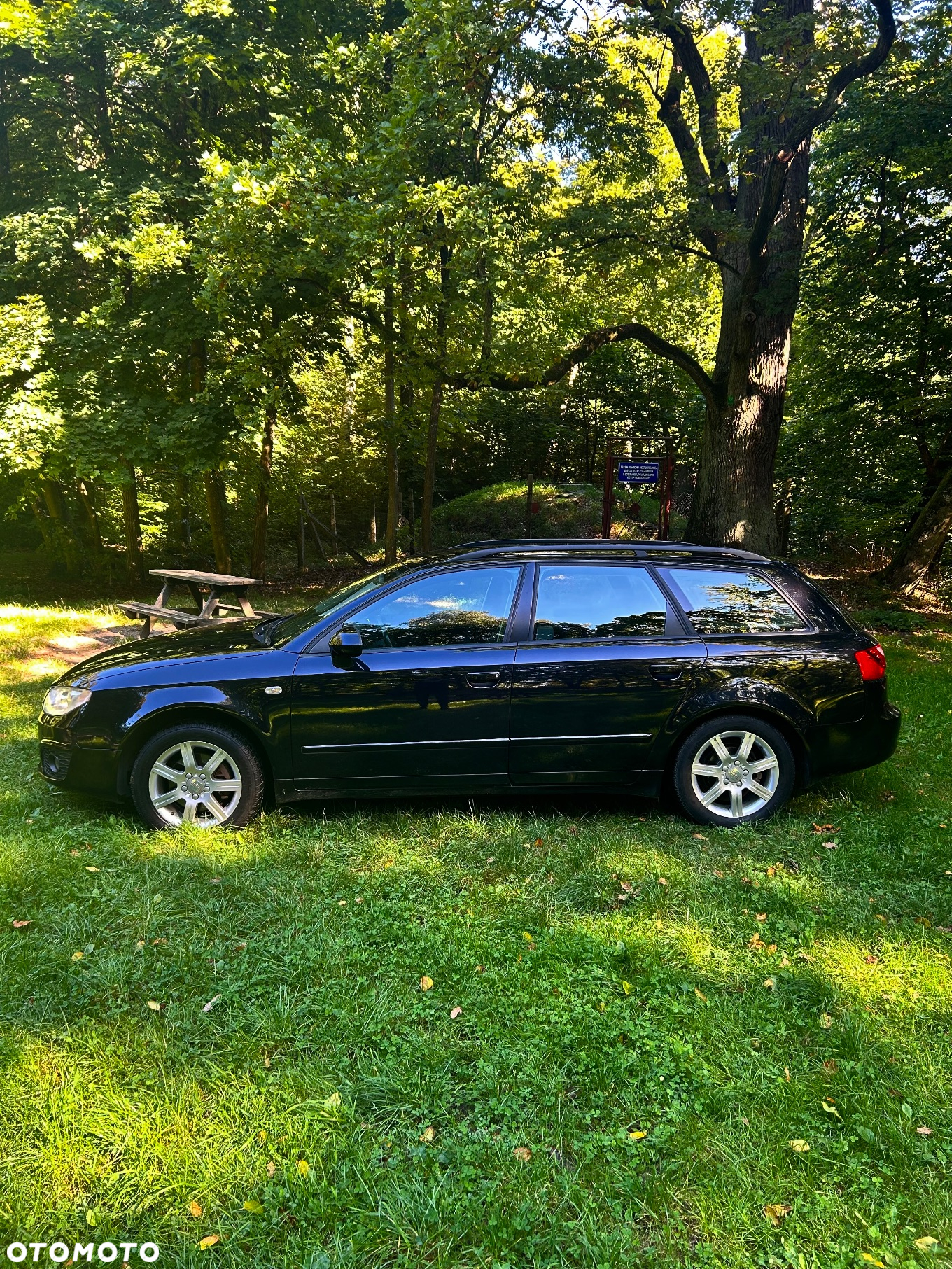 Seat Exeo - 2
