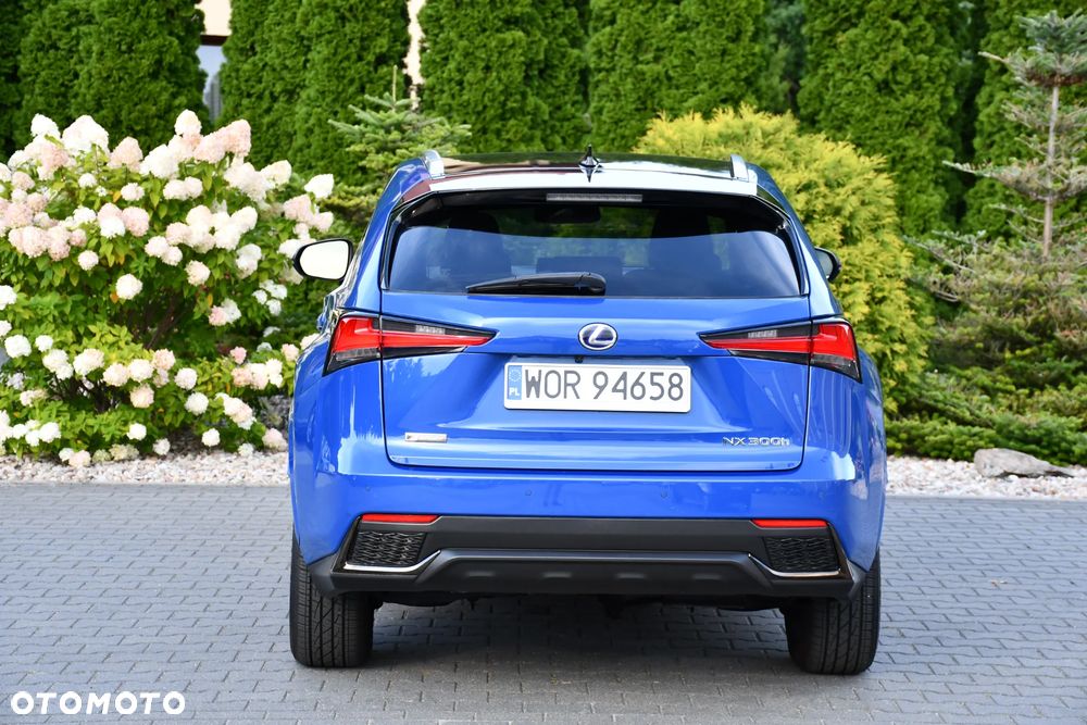 Lexus NX 300h E-FOUR F SPORT - 13