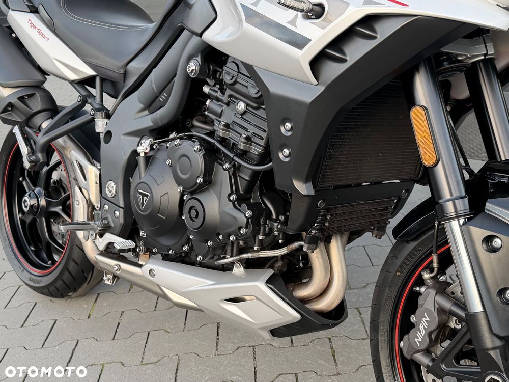 Triumph Tiger - 16